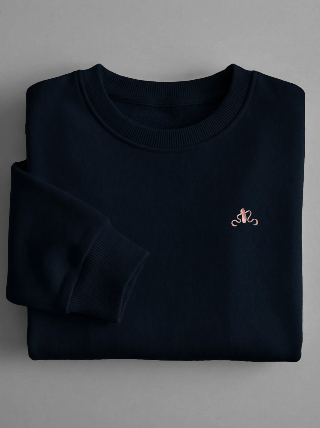 Oups Minis - Untied Ballerina - Sweatshirt in Navy by Tout Est Fichu